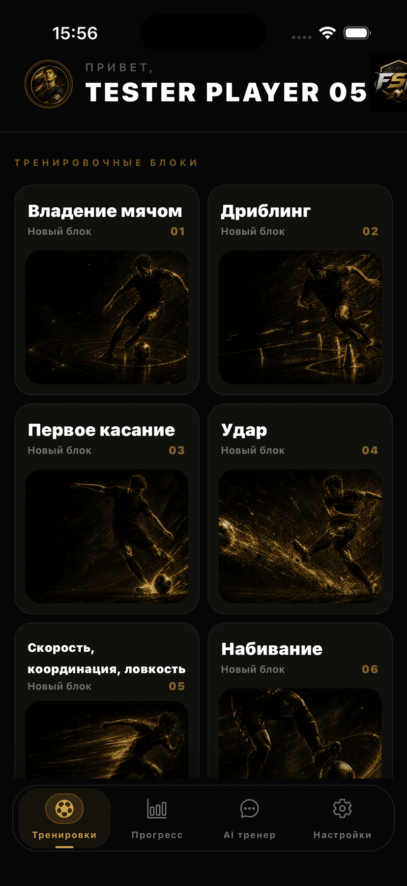Блоки тренировок